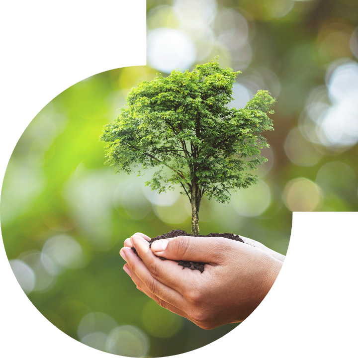 关怀人类、文化、环境与社会